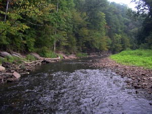 Looking upstream, Duck River