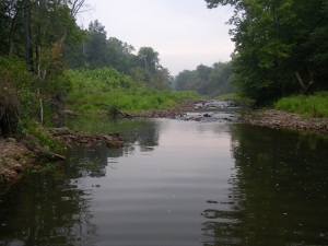 Looking upstream Cat Creek